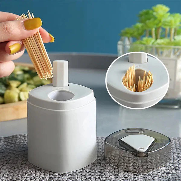 Portable Toothpick Holder Organizer