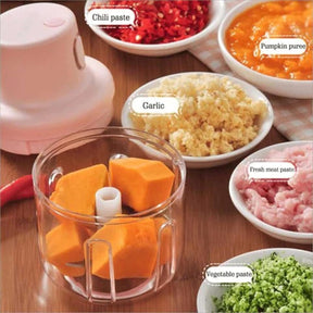 Mini Electric Garlic Food Chopper