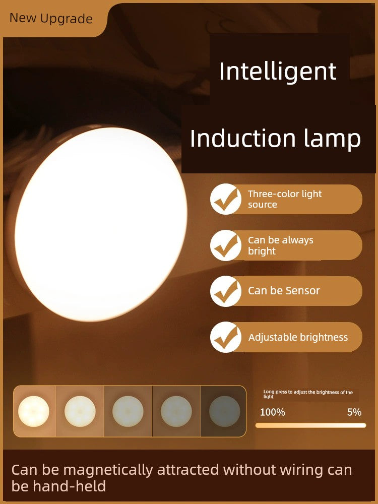 Intelligent Induction Lamp